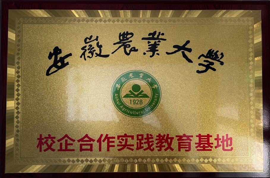 安徽农业大学大学生实习基地