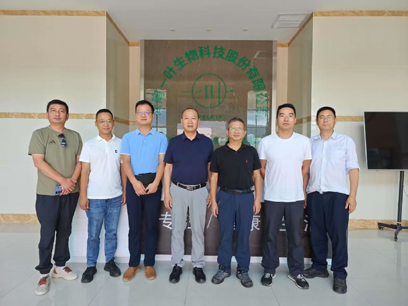 全链开发强赋能 共拓云茶核桃新蓝海.jpg